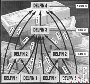 circuit-escrocherie-delphin