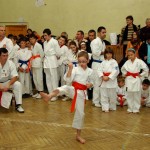 Okinawa Karate Isshinryu 1 decembrie foto copil ochelari karatist