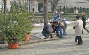 Nimic despre protestul iubitorilor teilor