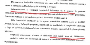 Un nou mogul pe malul Bahluiului