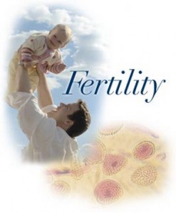 fertilitate